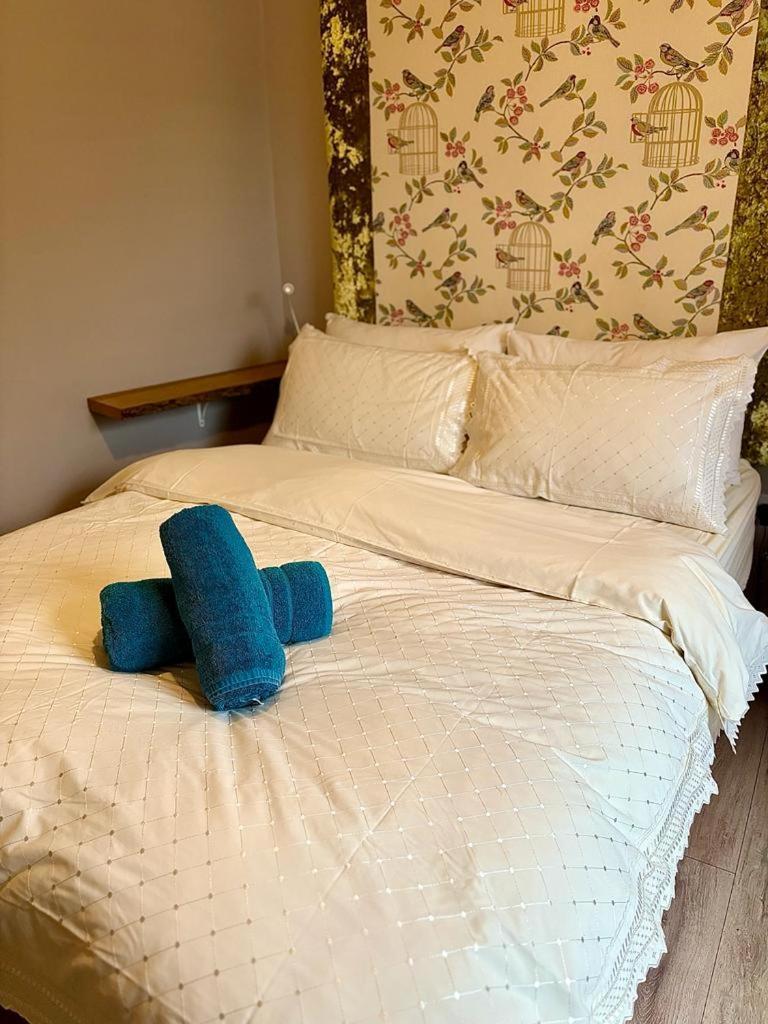 Summerhill Guest House 베투스 이 코이드 외부 사진